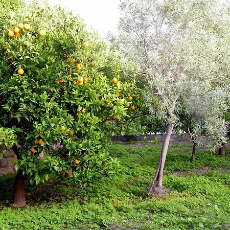 Sole Dell'alcantara Motta Camastra